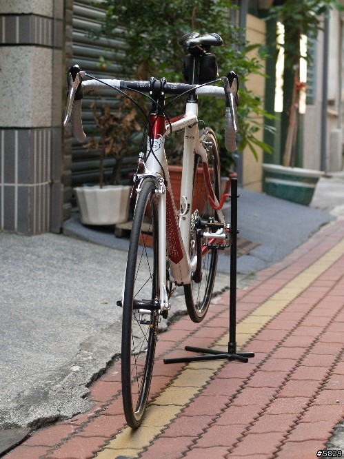 <車車分享>搶救貧窮大作戰BERGAMONT Dolce Team