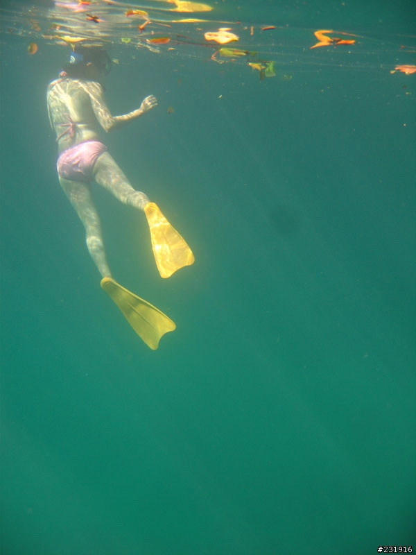 在帛琉遇到美人魚<帛琉之旅>