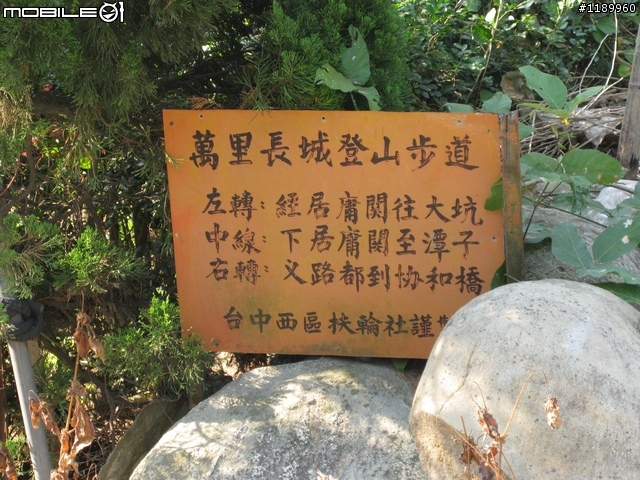 經由八道樓子到新社花海