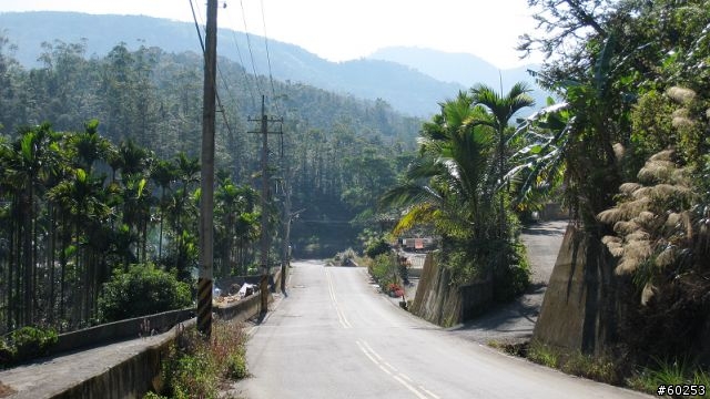 南投縣 桃米生態村→投64→蓮華池→131縣道→147縣道→投68→桃米生態村