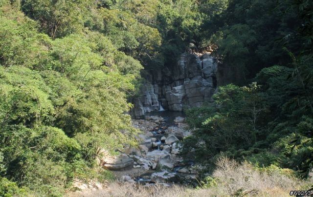 南投縣 桃米生態村→投64→蓮華池→131縣道→147縣道→投68→桃米生態村