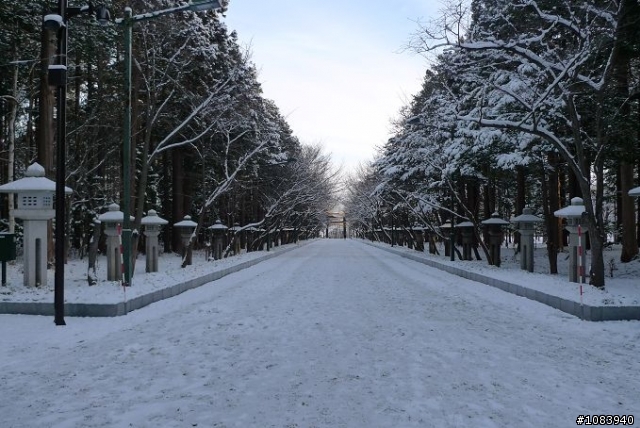 (分享)97年12/11~12/15阿源的北海道雪之旅..