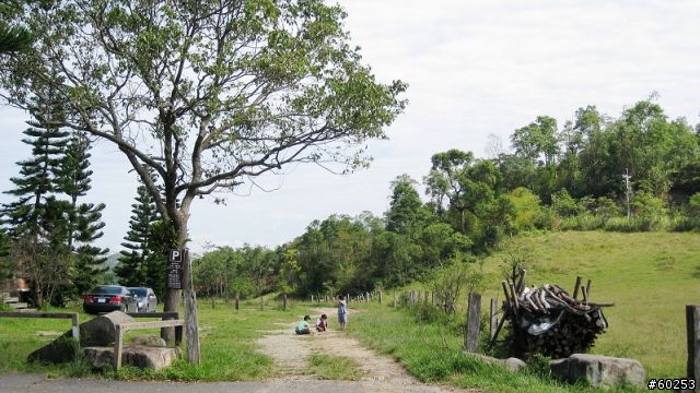 南投縣 桃米生態村→投64→蓮華池→131縣道→147縣道→投68→桃米生態村
