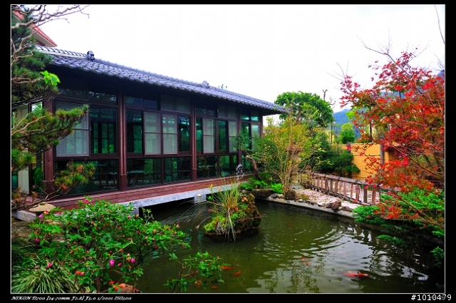 苗栗.大湖 雲莊 楓葉火紅!