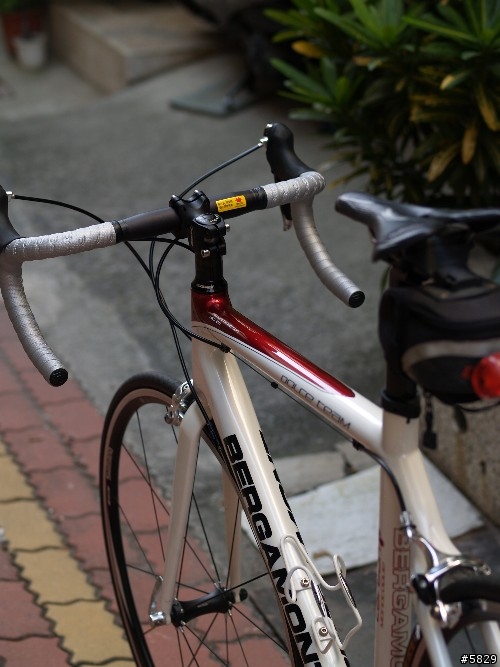 <車車分享>搶救貧窮大作戰BERGAMONT Dolce Team