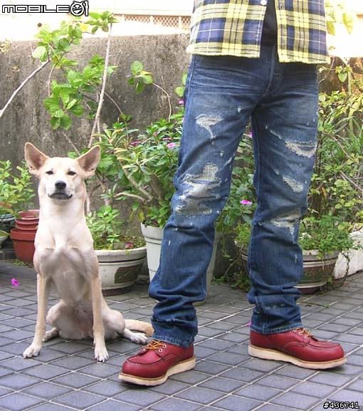 木村拓哉廣告款 日版levis 08501-0128實穿分享