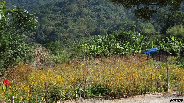 南投縣 桃米生態村→投64→蓮華池→131縣道→147縣道→投68→桃米生態村