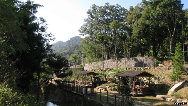 南投縣 桃米生態村→投64→蓮華池→131縣道→147縣道→投68→桃米生態村