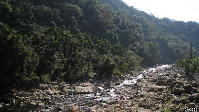 南投縣 桃米生態村→投64→蓮華池→131縣道→147縣道→投68→桃米生態村