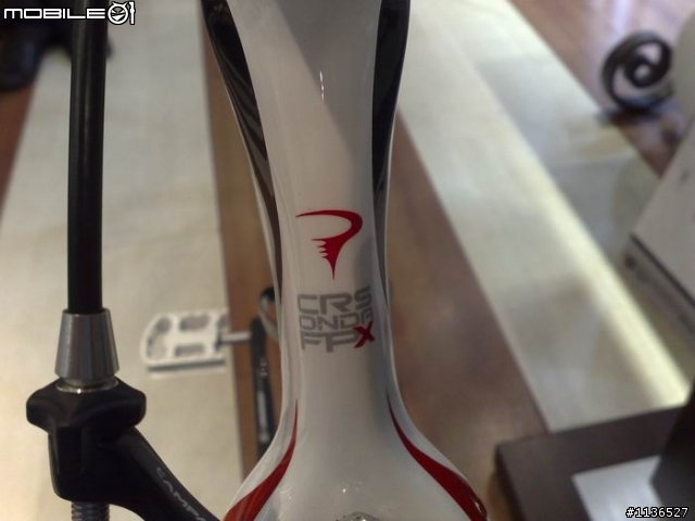 PINARELLO PRINCE 義大利小王子