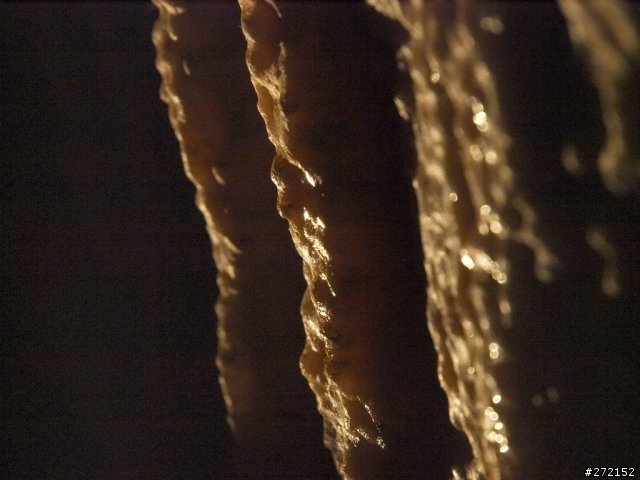 提早的禮物&遲到的開箱