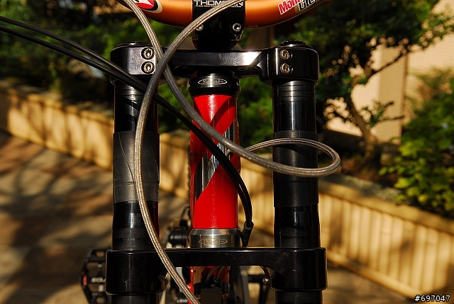 【分享】分享喜悅 Nicolai TST