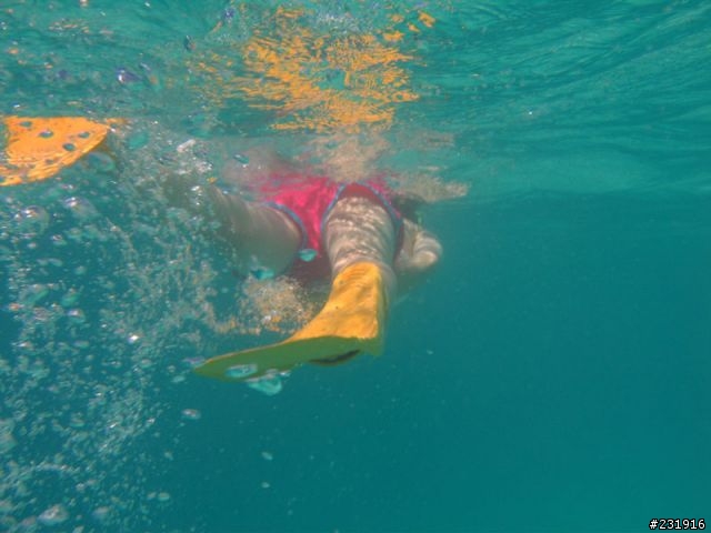 在帛琉遇到美人魚<帛琉之旅>