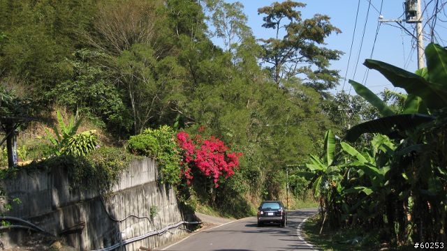 南投縣 桃米生態村→投64→蓮華池→131縣道→147縣道→投68→桃米生態村