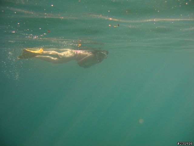 在帛琉遇到美人魚<帛琉之旅>