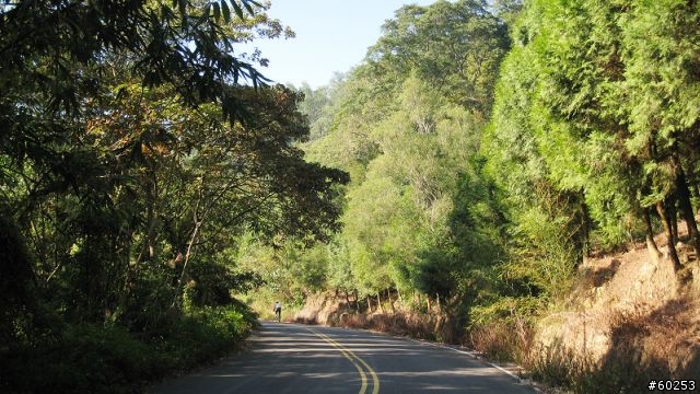 南投縣 桃米生態村→投64→蓮華池→131縣道→147縣道→投68→桃米生態村