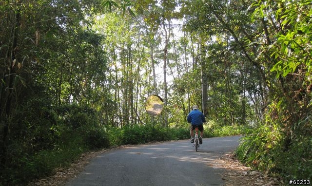 南投縣 桃米生態村→投64→蓮華池→131縣道→147縣道→投68→桃米生態村