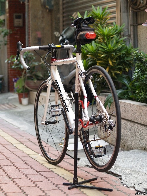 <車車分享>搶救貧窮大作戰BERGAMONT Dolce Team