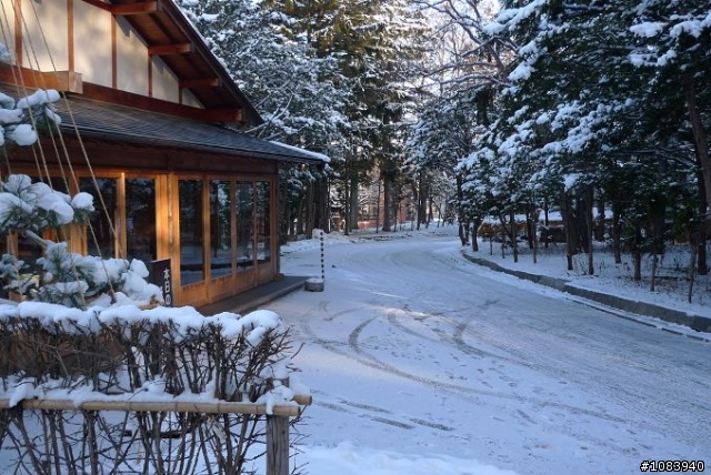 (分享)97年12/11~12/15阿源的北海道雪之旅..