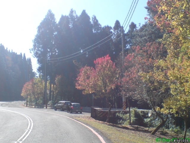 Passat 2.0 TFSI 阿里山新中橫賞楓一日行