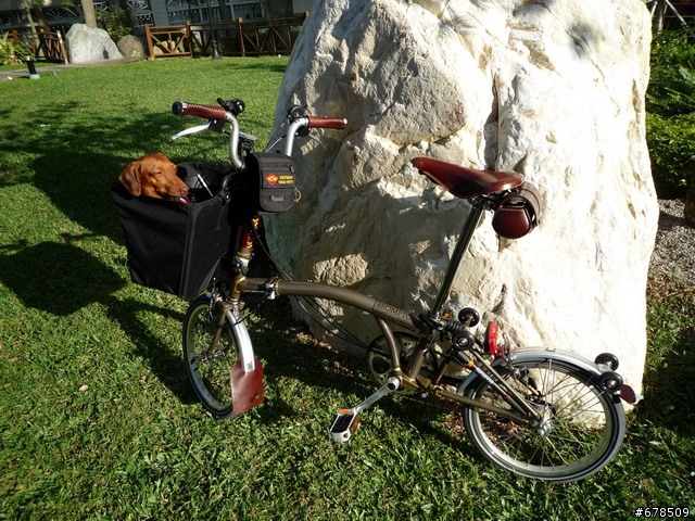 BROMPTON 布蘭登 打扮記