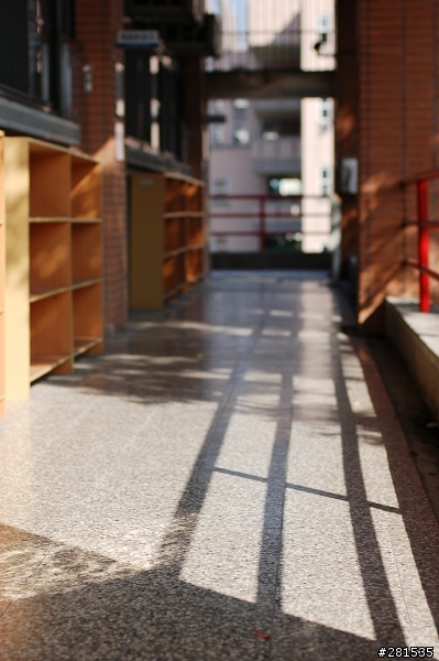 Nikon 50mm F1.4D 貼圖分享(原圖無後製)