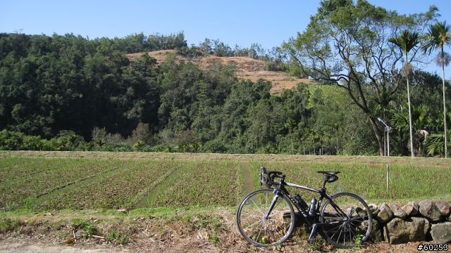 南投縣 桃米生態村→投64→蓮華池→131縣道→147縣道→投68→桃米生態村