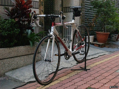 <車車分享>搶救貧窮大作戰BERGAMONT Dolce Team