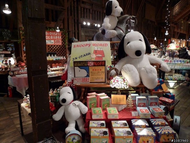 (分享)97年12/11~12/15阿源的北海道雪之旅..