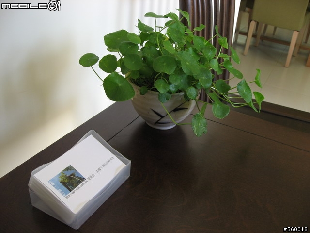 分享!花蓮【一間民宿】