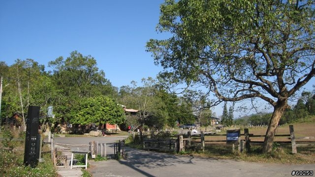 南投縣 桃米生態村→投64→蓮華池→131縣道→147縣道→投68→桃米生態村
