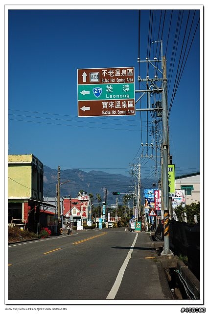 寶來竹林賞梅
