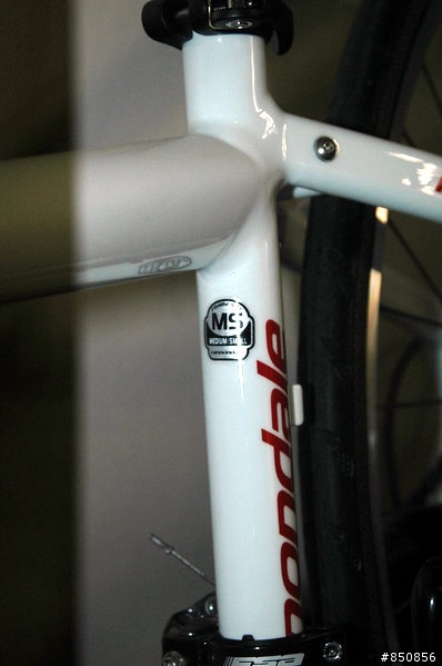 環島限定--『公路協力車』Cannondale Tandem 2