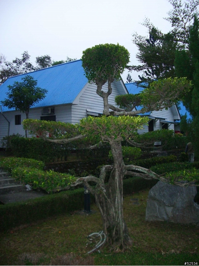 武嶺遊記+南橫啞口遊記+太魯閣遊記