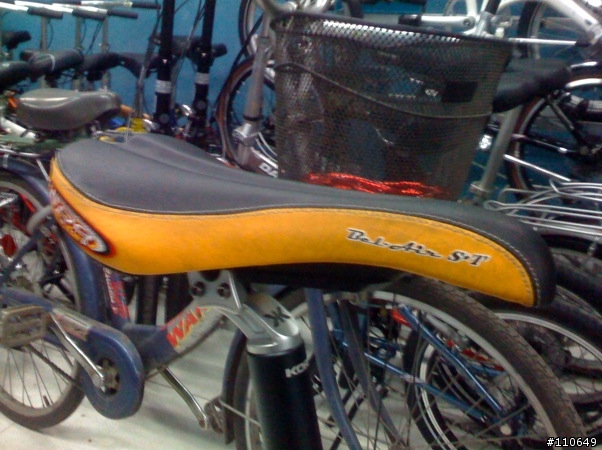 Dahon Speed Pro改裝心得