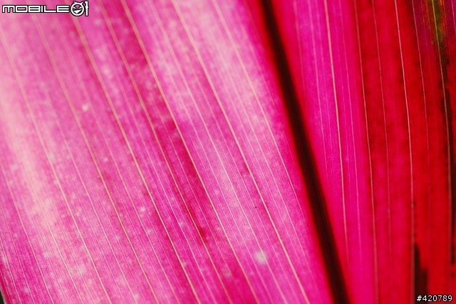 Tamron 90mm f2.8 for nikon(有光圈環無內建馬達版)