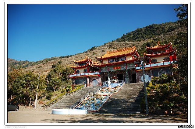 寶來竹林賞梅