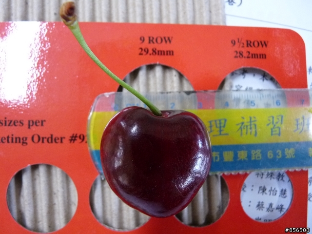 ﹝開箱文﹞不是只有用品才是逸品喔~~