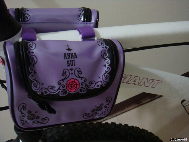 <分享>Anna Sui 化妝包變身上管馬鞍袋(照片上傳囉!!)