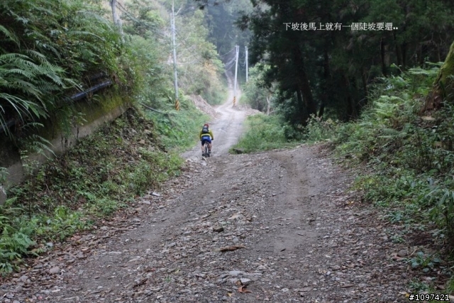 6度C的藤枝+石山林道