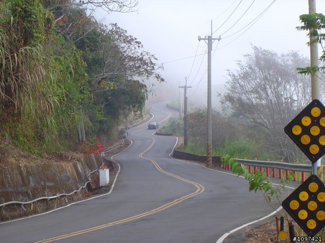 6度C的藤枝+石山林道