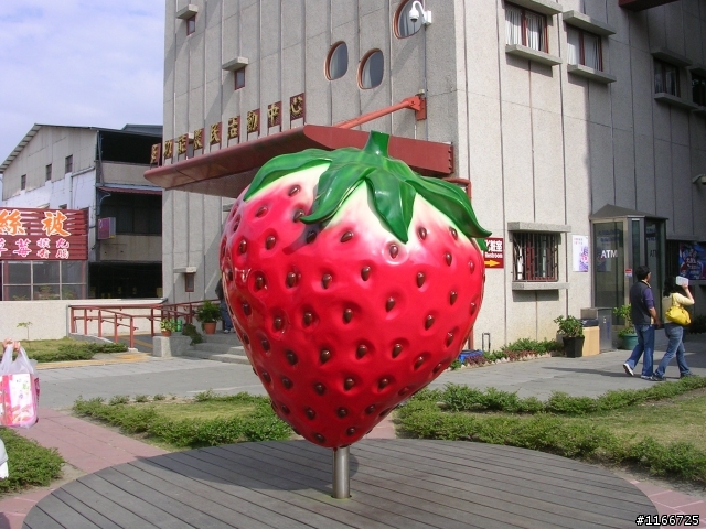 黑金環島登武嶺十日遊^^