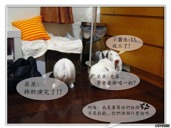 大家會不會幫自家寵物編故事-(亂編一通-----圖多)