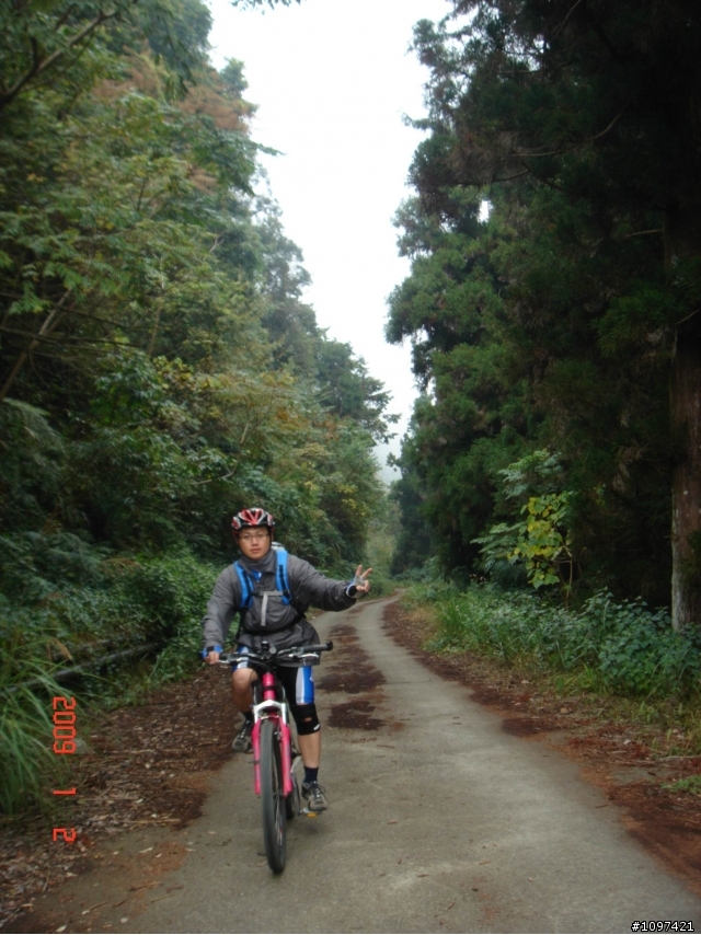 6度C的藤枝+石山林道
