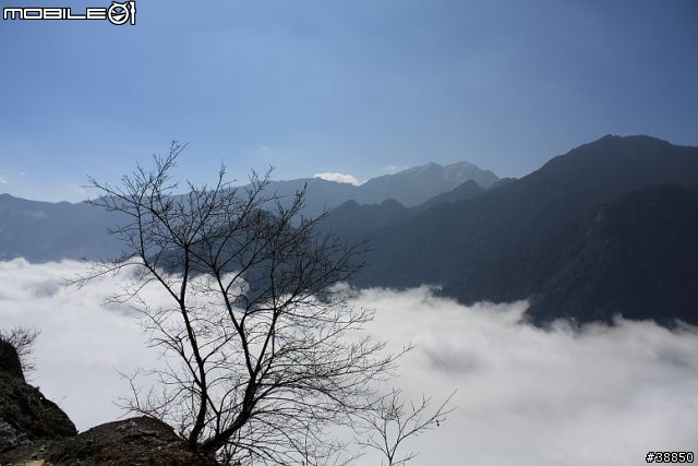原厰新勁戰三橫環半島09.01.12-01.15...圖多小心