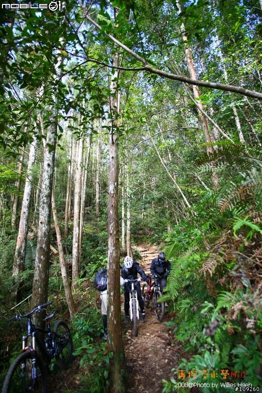 再探浸水營