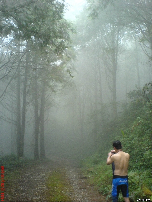 6度C的藤枝+石山林道