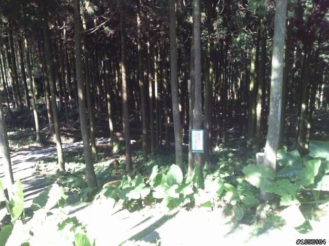 中和to熊空to三峽老街