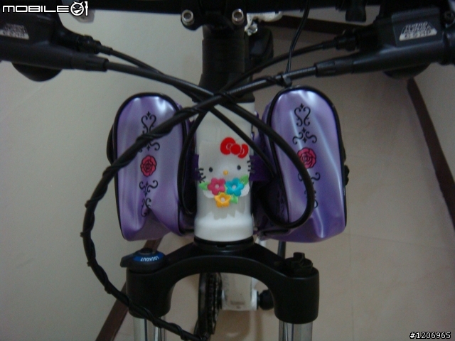 <分享>Anna Sui 化妝包變身上管馬鞍袋(照片上傳囉!!)