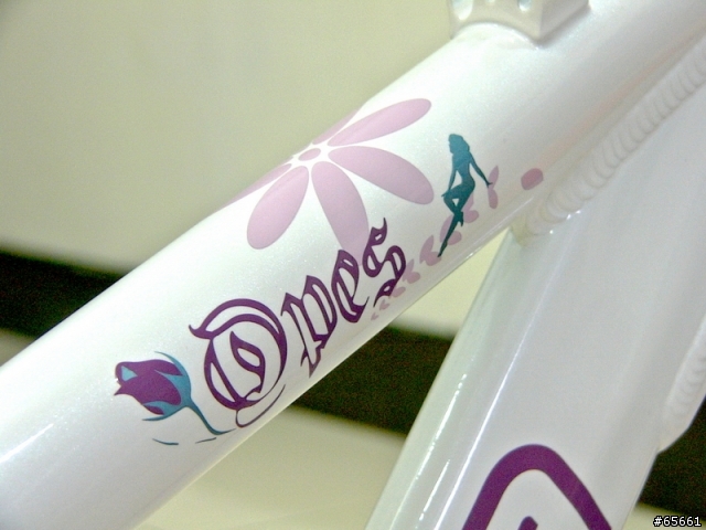 【分享】生日的賀禮 Primavera OPES 自組車